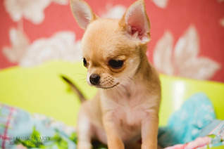 1920 X 1277 438.9 Kb 1920 X 1277 364.9 Kb 