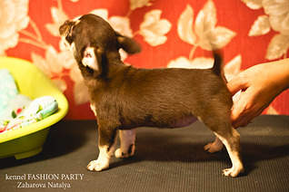 1920 X 1277 596.3 Kb 1920 X 1277 438.9 Kb 1920 X 1277 364.9 Kb 