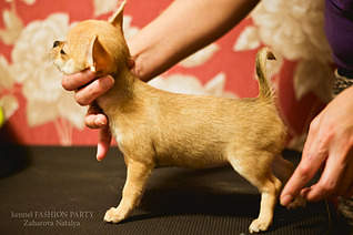 1920 X 1277 596.5 Kb 1920 X 1277 596.3 Kb 1920 X 1277 438.9 Kb 1920 X 1277 364.9 Kb 