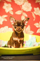 1920 X 2885 981.5 Kb 1920 X 1277 596.5 Kb 1920 X 1277 596.3 Kb 1920 X 1277 438.9 Kb 1920 X 1277 364.9 Kb 