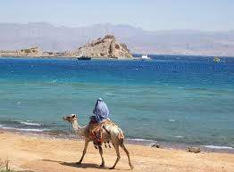 262 x 193 Распродажа туров! от Караван Путешествий.