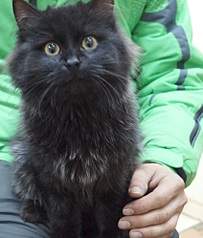 1689 X 1991 694.2 Kb     -