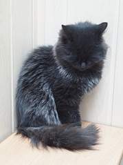 1920 X 2562 699.4 Kb 1920 X 1459 591.3 Kb 1897 X 1905 624.1 Kb 1665 X 1571 460.1 Kb 1689 X 1991 694.2 Kb     -