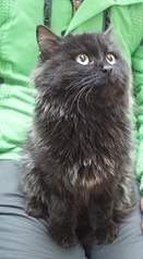 1329 X 2417 674.5 Kb     -