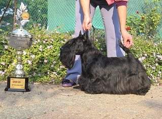 571 X 419 81.7 Kb 640 X 960 67.2 Kb  