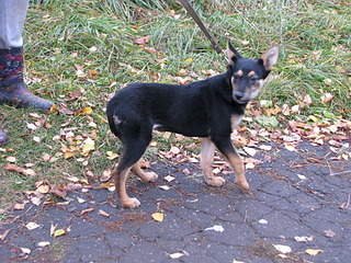 1920 X 1440 452.7 Kb 1920 X 1440 496.3 Kb 1920 X 2560 527.1 Kb 1920 X 1440 956.4 Kb 1920 X 2560 363.2 Kb ����������� ���� "�������" ����� ��������� � ����