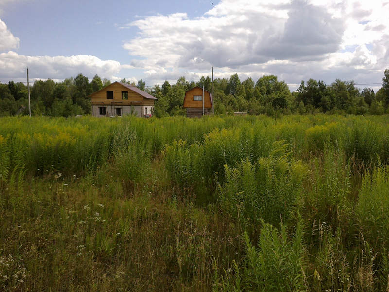 Купить участок хабаровский. Старое Михайловское Ижевск. Зеленый участок без построек. Земельные участки в Ижевске. Фото участка.