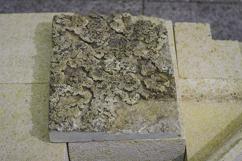 1837 X 1223 309.5 Kb   