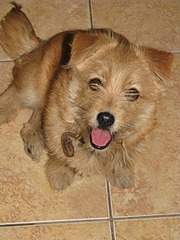 1920 X 2560 351.3 Kb 1920 X 1440 731.8 Kb 1920 X 2560 421.7 Kb ,     