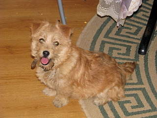 1920 X 1440 758.3 Kb 1920 X 2560 351.3 Kb 1920 X 1440 731.8 Kb 1920 X 2560 421.7 Kb ,     