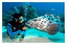 275 x 184 Хотите в отпуск? Подберем лучшие предложения!