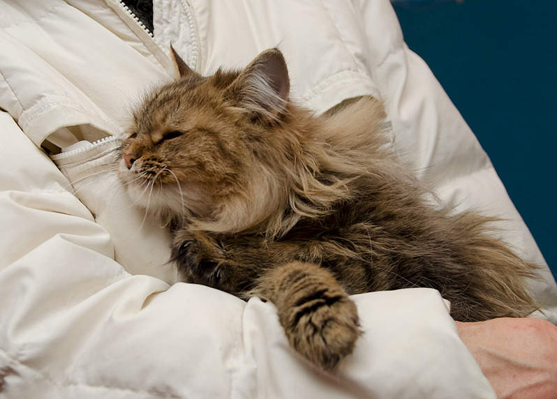 1920 X 1375 504.6 Kb 1920 X 1389 523.4 Kb     .