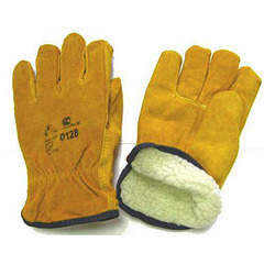 400 X 400 104.9 Kb     .