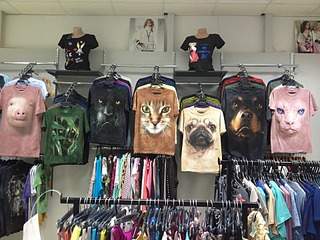 1920 X 1440 794.7 Kb    -  