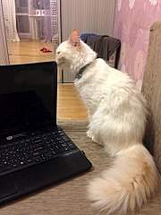720 X 960 138.8 Kb 453 X 604 56.3 Kb ДО И ПОСЛЕ.Любовь творит чудеса