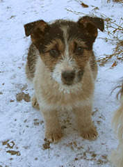 1920 X 2597 319.0 Kb   ? (4 )