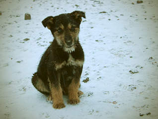 1920 X 1445 503.8 Kb 1920 X 2597 319.0 Kb   ? (4 )