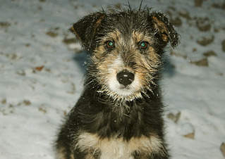 1920 X 1359 595.5 Kb 1920 X 1445 503.8 Kb 1920 X 2597 319.0 Kb   ? (4 )