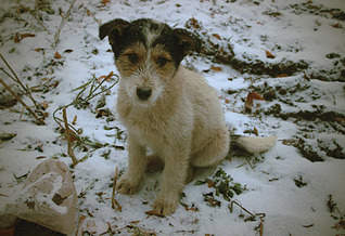 1920 X 1313 648.7 Kb 1920 X 1359 595.5 Kb 1920 X 1445 503.8 Kb 1920 X 2597 319.0 Kb   ? (4 )