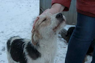 1920 X 1280 399.3 Kb 1920 X 1313 648.7 Kb 1920 X 1359 595.5 Kb 1920 X 1445 503.8 Kb 1920 X 2597 319.0 Kb   ? (4 )