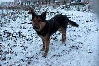 1920 X 1280 770.0 Kb   ? (4 )