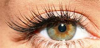 640 X 308 48.9 Kb 1632 X 591 506.5 Kb   .   