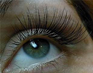 640 X 500 69.3 Kb 640 X 308 48.9 Kb 1632 X 591 506.5 Kb   .   