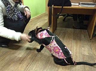 1280 X 956 302.6 Kb 830 X 848 163.6 Kb   