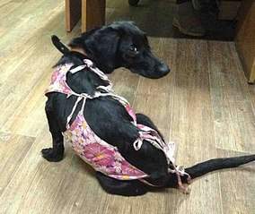 805 X 678 139.7 Kb 1280 X 956 302.6 Kb 830 X 848 163.6 Kb   