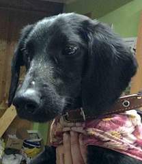 659 X 760 93.8 Kb 805 X 678 139.7 Kb 1280 X 956 302.6 Kb 830 X 848 163.6 Kb   