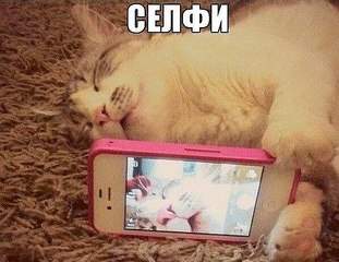 598 X 461  56.1 Kb Улыбнемся?