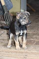 402 X 604 49.2 Kb  -   