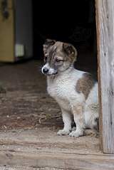 403 X 604 42.8 Kb  -   