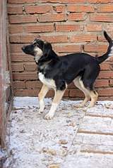 403 X 604 68.4 Kb  -   