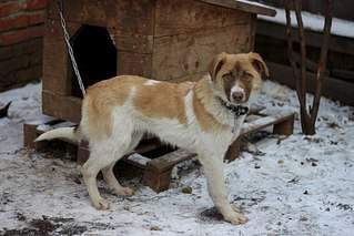 604 X 403 54.9 Kb  -   