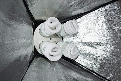 1920 X 1280 902.6 Kb 1920 X 1280 595.3 Kb 1920 X 1280 782.7 Kb  