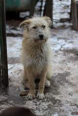 403 X 604 47.9 Kb  -   