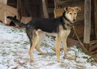 604 X 431 61.2 Kb  -   