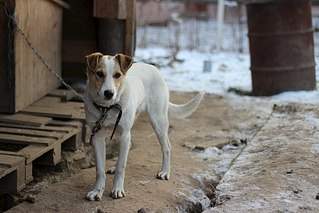 604 X 403 49.0 Kb  -   