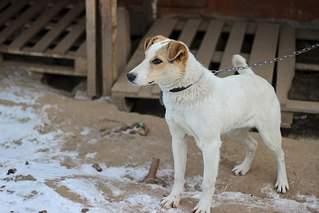 604 X 403 43.5 Kb  -   