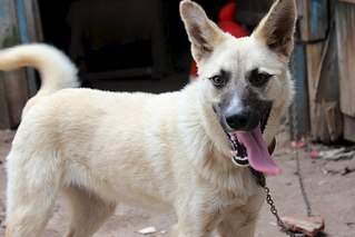 604 X 403 39.9 Kb  -   