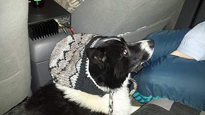 1024 X 576 242.3 Kb 1024 X 576 226.0 Kb Копыто 2014