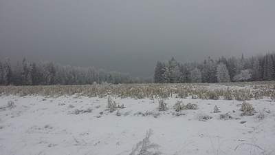 1024 X 576 176.1 Kb 1024 X 576 242.3 Kb 1024 X 576 226.0 Kb Копыто 2014