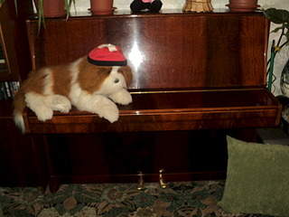 1920 X 1440 560.0 Kb  