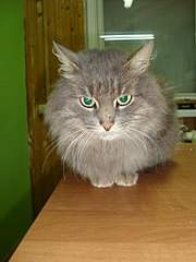 768 X 1024 139.4 Kb �����, �������, ���������! ������� ������ �������!