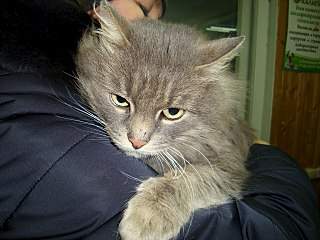 1280 X 960 283.6 Kb 768 X 1024 139.4 Kb �����, �������, ���������! ������� ������ �������!