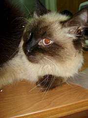 768 X 1024 161.3 Kb 1280 X 960 283.6 Kb 768 X 1024 139.4 Kb �����, �������, ���������! ������� ������ �������!