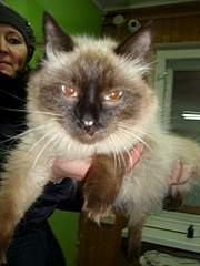 768 X 1024 100.1 Kb 768 X 1024 161.3 Kb 1280 X 960 283.6 Kb 768 X 1024 139.4 Kb �����, �������, ���������! ������� ������ �������!