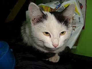 1280 X 960 183.6 Kb �����, �������, ���������! ������� ������ �������!