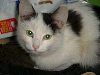 1280 X 960 103.3 Kb 1280 X 960 183.6 Kb �����, �������, ���������! ������� ������ �������!